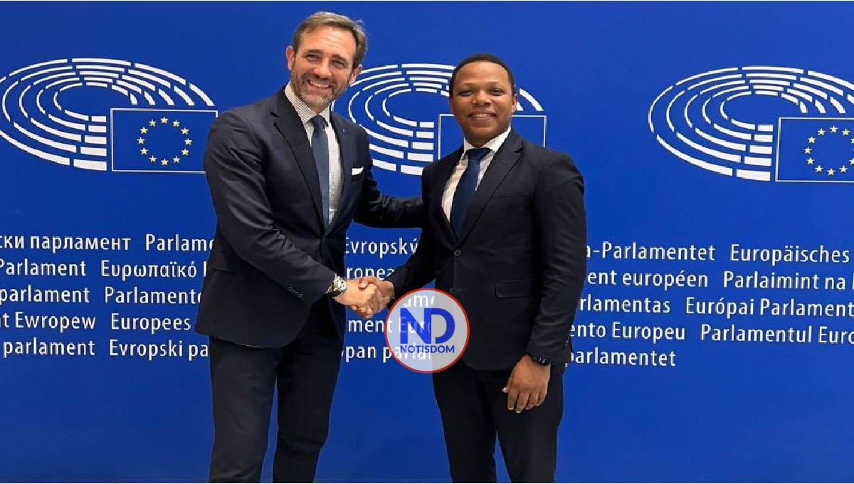 Llevan al Parlamento Europeo la postura de la RD respecto a Haití