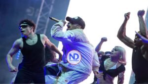 Rauw Alejandro puso a “perrear” a más de 15,000 personas en Fuengirola