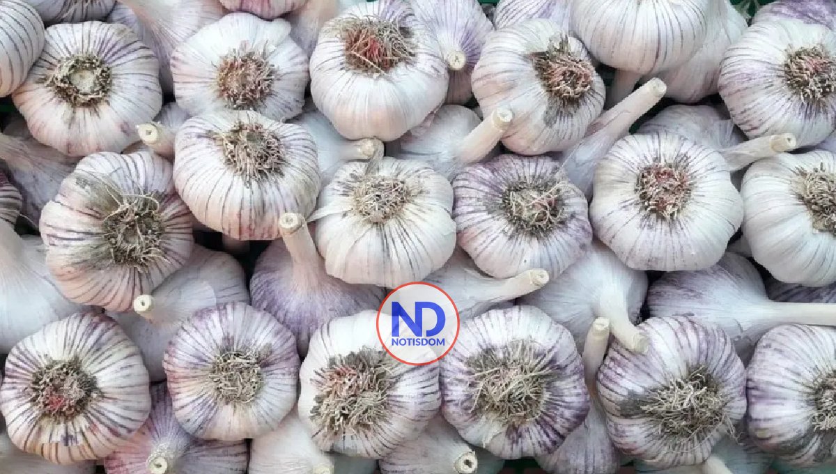 Libra de ajo cuesta 65 pesos, dice Administrador del Banco Agrícola