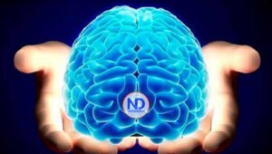 22 de julio: Día Mundial del Cerebro