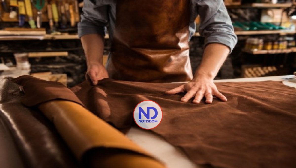 Créditos a microempresas crecen más de 33% enero-junio 2022 2 Créditos a microempresas crecen más de 33% enero-junio 2022