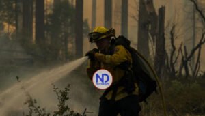 Fuego amenaza secuoyas milenarias parque de Yosemite