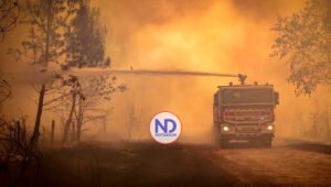 Incendios forestales sin control y una mortal ola de calor en Europa