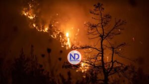 Los incendios forestales se extienden por Italia mientras aumenta el calor