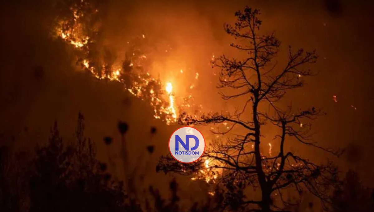 Los incendios forestales se extienden por Italia mientras aumenta el calor 2 Los incendios forestales se extienden por Italia mientras aumenta el calor