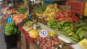 Informe de FAO dice disminuyeron niveles de hambre en RD por medidas del presidente Abinader