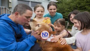 Perro ciego encontrado en Alaska 3 semanas después de deambular