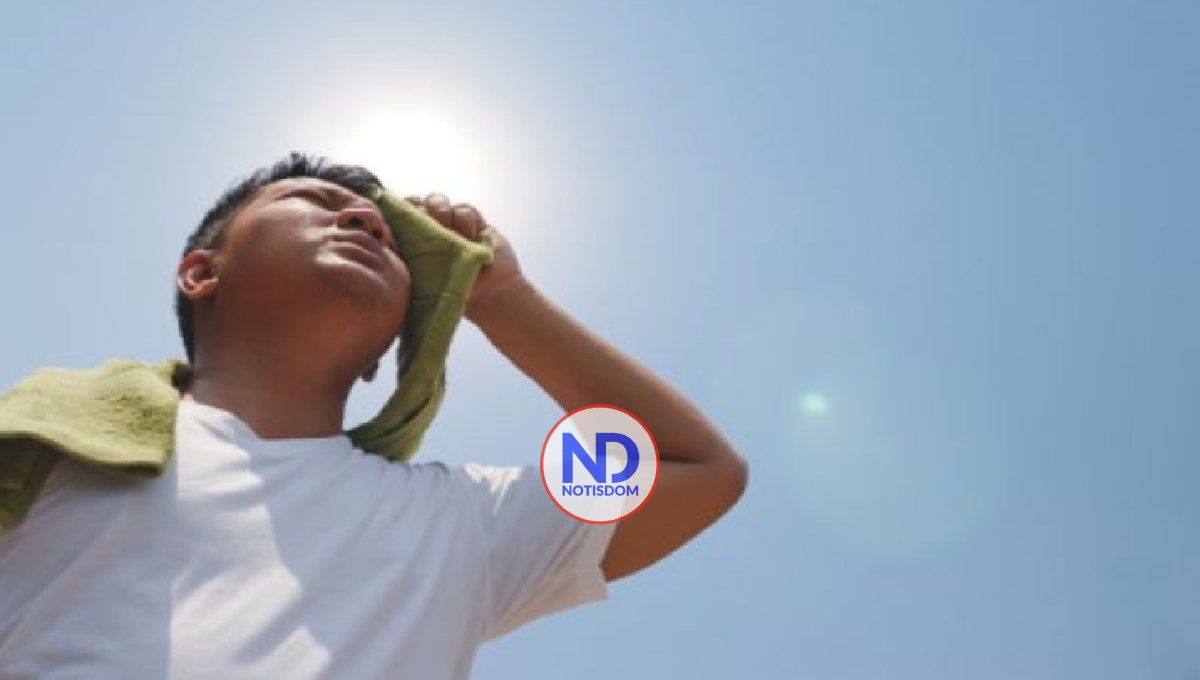 Qué es el estrés térmico y qué hacer para combatirlo 2 Qué es el estrés térmico y qué hacer para combatirlo