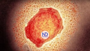 Experto advierte sobre circulación asintomática de viruela del mono