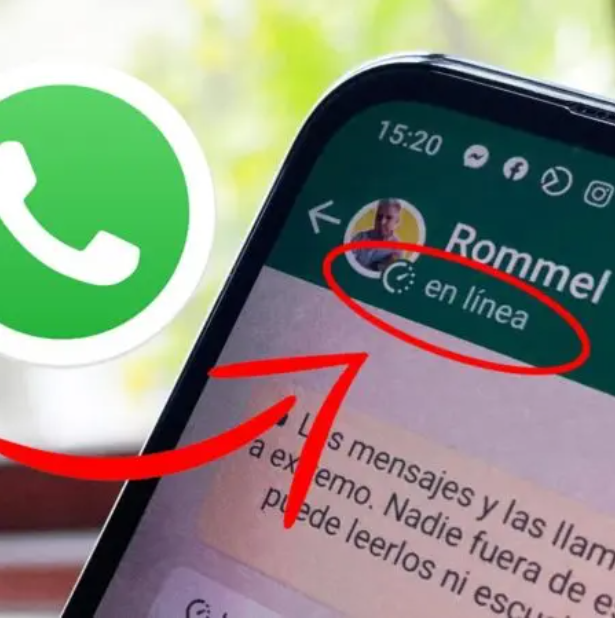 WATSAPP 31 WhatsApp permitirá ocultar el estado ¨En Línea¨