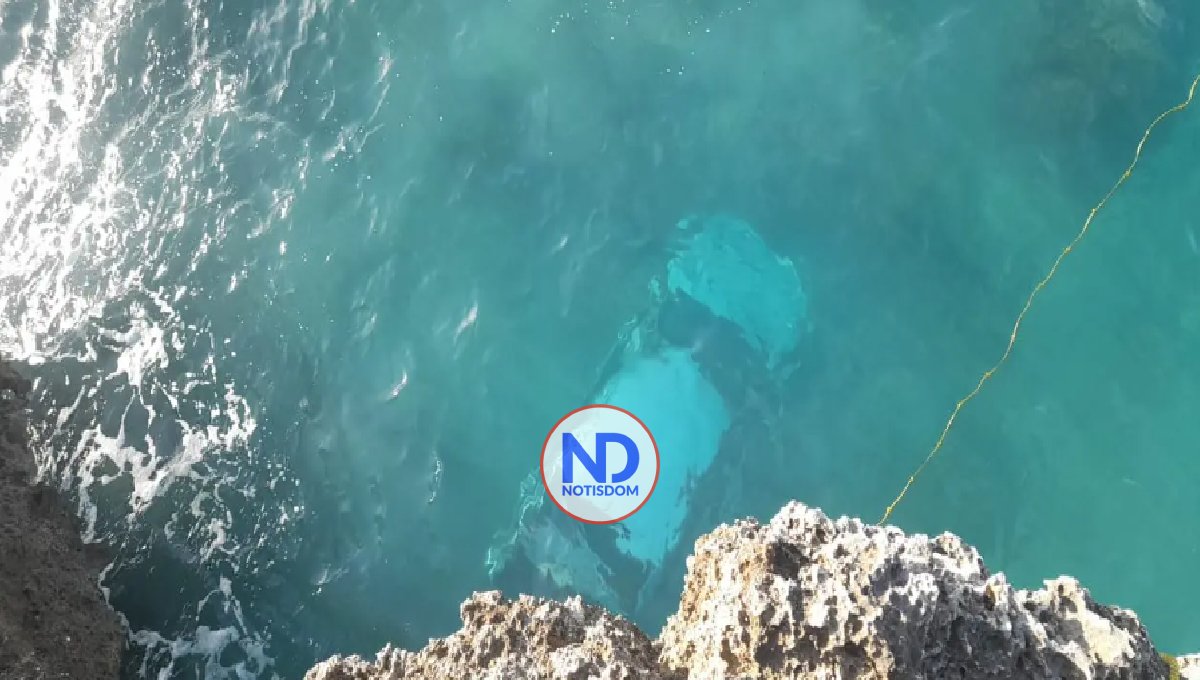 Muere un conductor al caer vehículo al mar en la autopista Las Américas