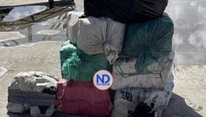 14 dominicanos arrestados con cocaína valorada en US$22 millones