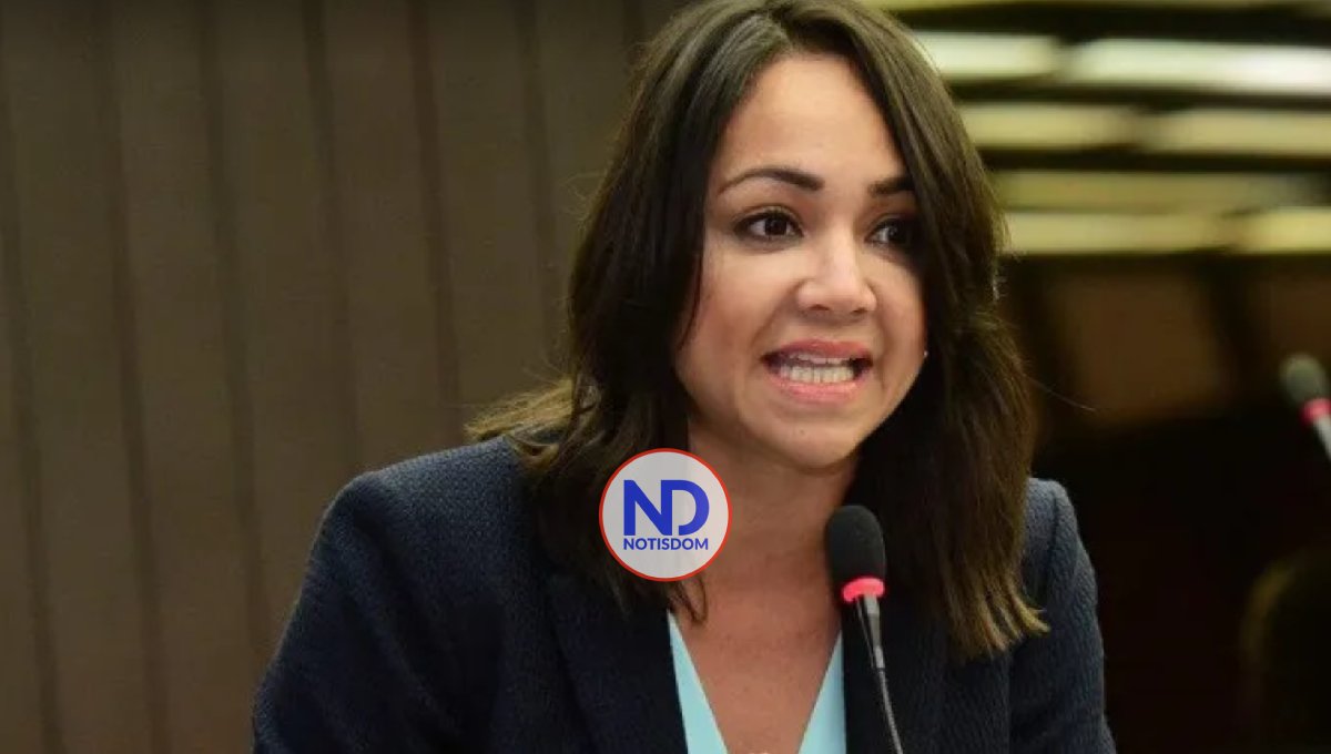 Faride Raful ya no seguirá como vocera del PRM en el Senado 2 Faride Raful ya no seguirá como vocera del PRM en el Senado