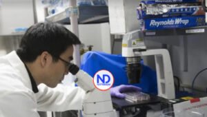 ¿Cómo las células se vuelven “zombis” y aceleran el envejecimiento?