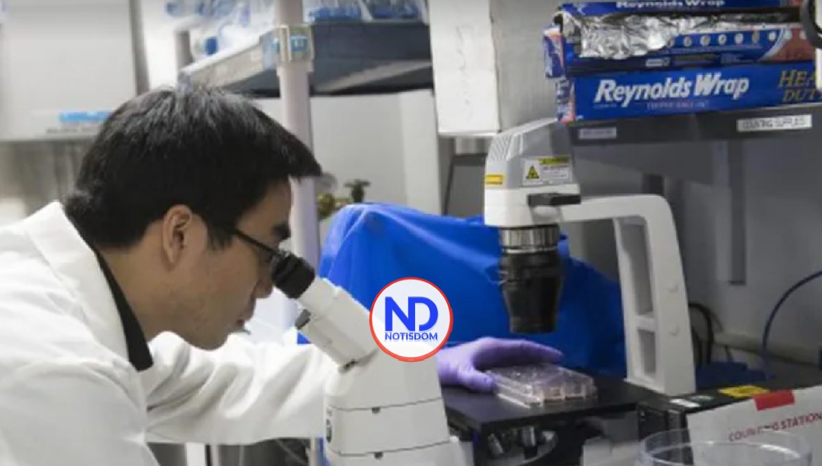 ¿Cómo las células se vuelven “zombis” y aceleran el envejecimiento?