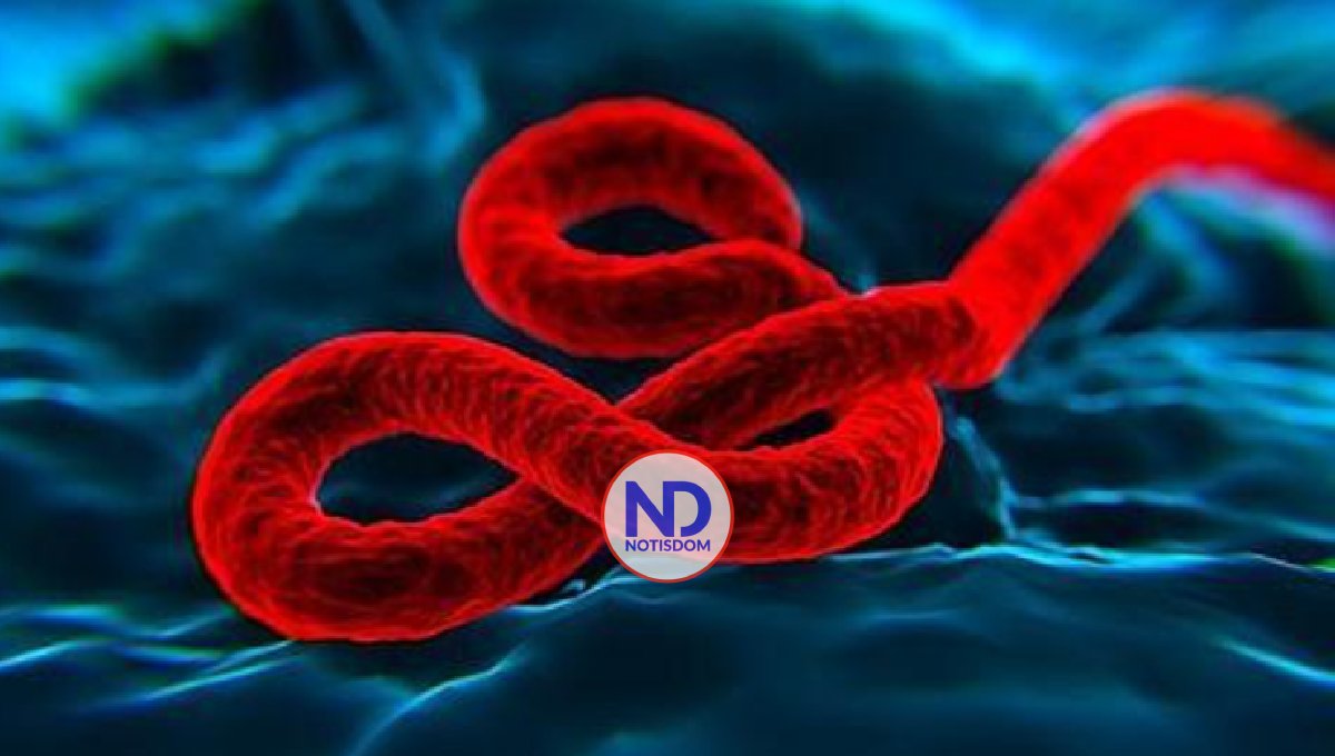 La OMS confirma un nuevo brote de ébola en el este R. del Congo