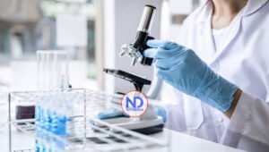 Abren la puerta a la creación de órganos de reemplazo humanos