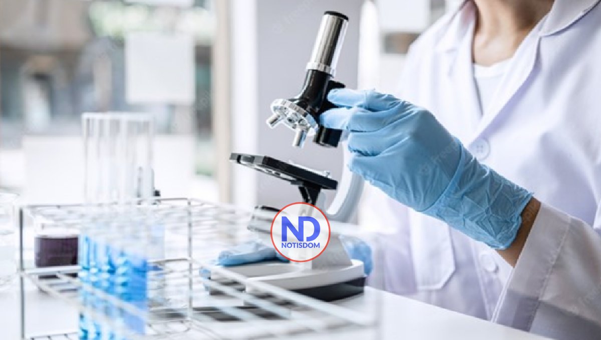 Abren la puerta a la creación de órganos de reemplazo humanos