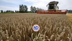 EU comprará 68 millones trigo ucraniano para países pobres