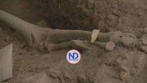 Hallan en RD cementerio de hace 3,000 años