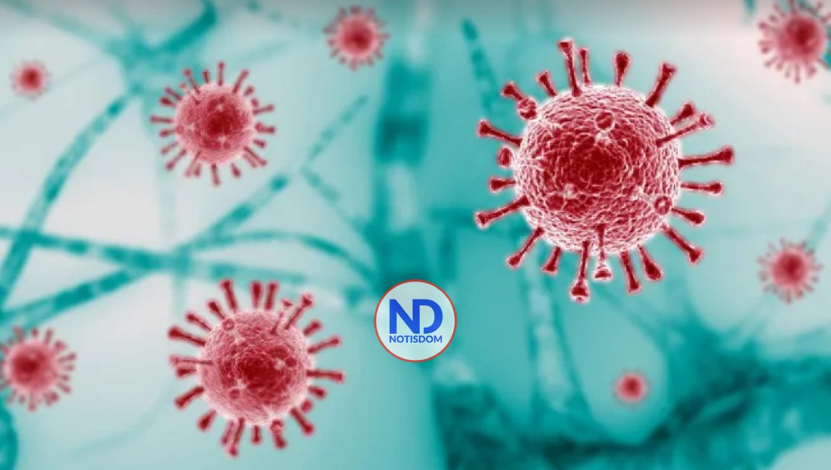 Salud Pública reporta 335 casos nuevos de Covid-19 en el país