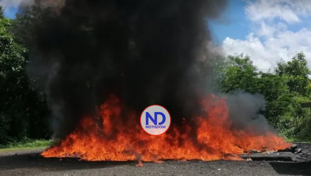 Inacif incinera 194 kilogramos de drogas