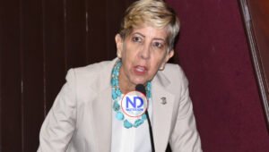 Ginette Bournigal: «Miembros CC deben renunciar por bochinches ridículos”