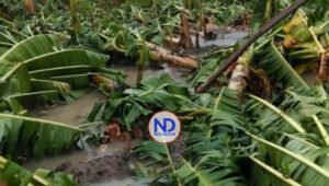 Sector agropecuario con poca mano de obra para reconstruir campos