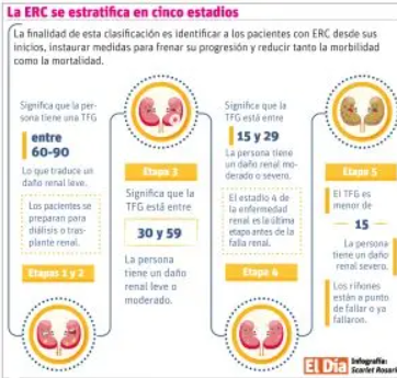 RENAL Enfermedad renal crónica no discrimina sexo ni edad