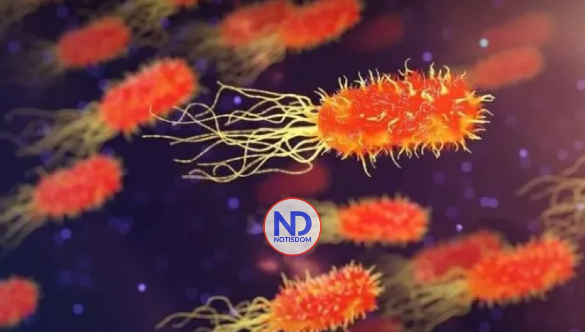 La OMS alerta de que el cólera se está propagando "rápidamente" en el Líbano 2 La OMS alerta de que el cólera se está propagando «rápidamente» en el Líbano