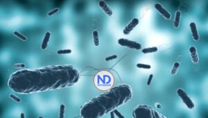 El cólera se ha cobrado 7 vidas en capital de Haití y se teme su expansión