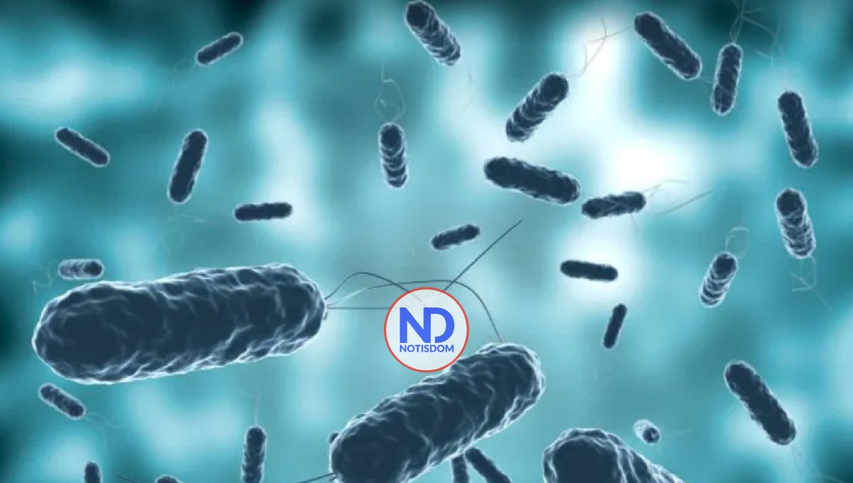 El cólera se ha cobrado 7 vidas en capital de Haití y se teme su expansión