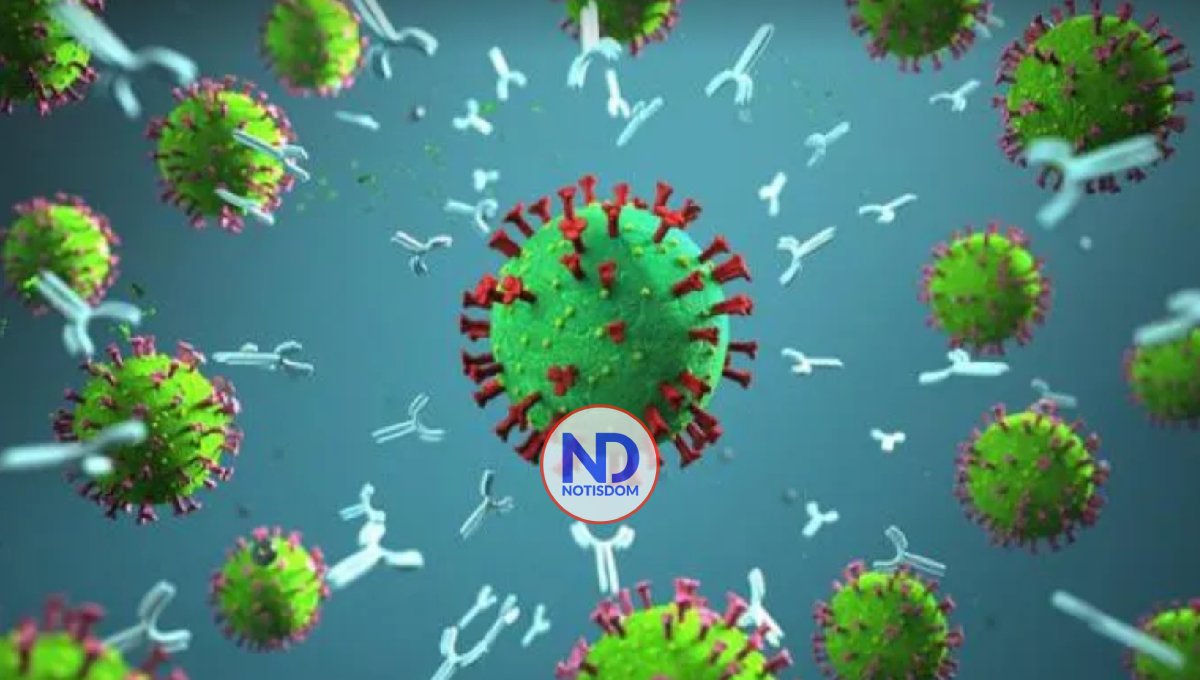 Los anticuerpos contra SARS-CoV-2 persisten 2 años tras sufrir la enfermedad, según estudio