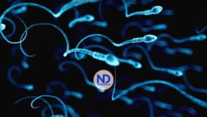 Aplican la Inteligencia Artificial para seleccionar esperma en reproducción