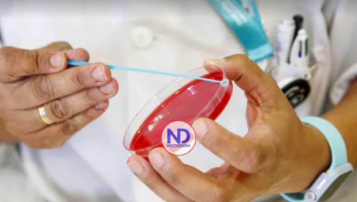 Descubren cómo el virus SARS-CoV-2 se comunica con las células humanas