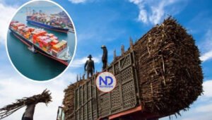 Aduanas EU retiene embarques RD por alegados abusos braceros