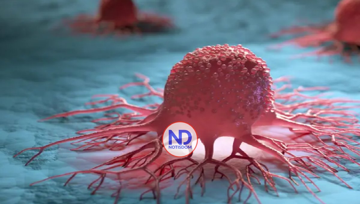 Identifican proteína que impide que inmunoterapia contra el cáncer funcione