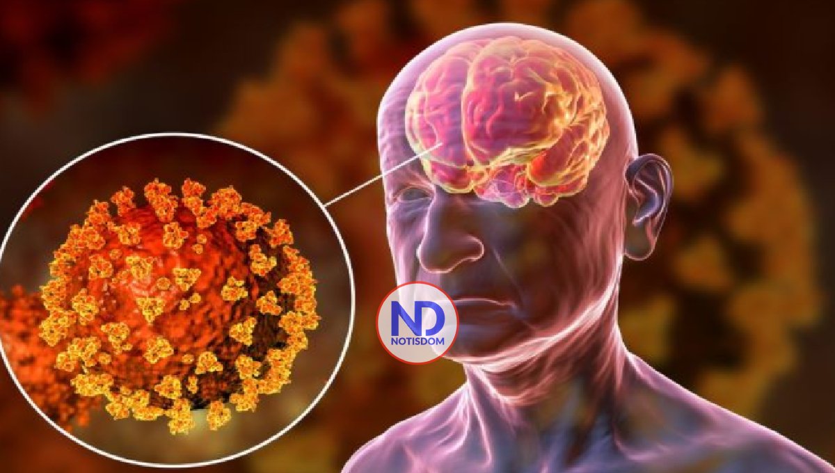 Estudio relaciona alteraciones cerebrales con el covid persistente