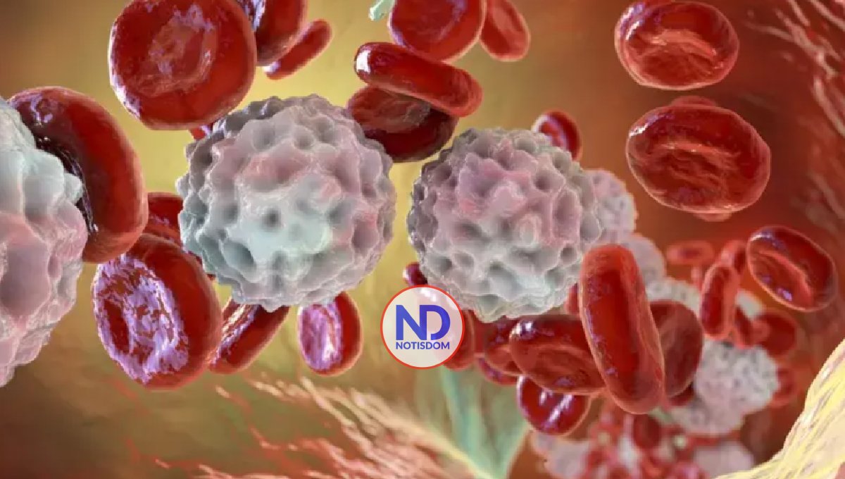 Qué es la inflamación y por qué puede ser un arma de doble filo 2 Qué es la inflamación y por qué puede ser un arma de doble filo