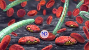 Cambio climático podrá aumentar casos de malaria y tuberculosis en el mundo