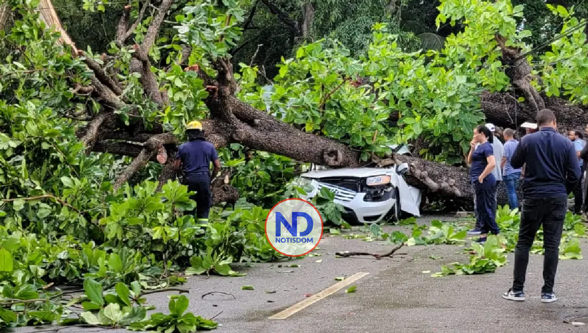 Hombre que falleció al caerle árbol a vehículo iba a recoger a su niño al colegio