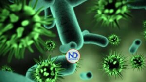 En 2023 OMS actualizará lista de patógenos que podrían causar pandemias