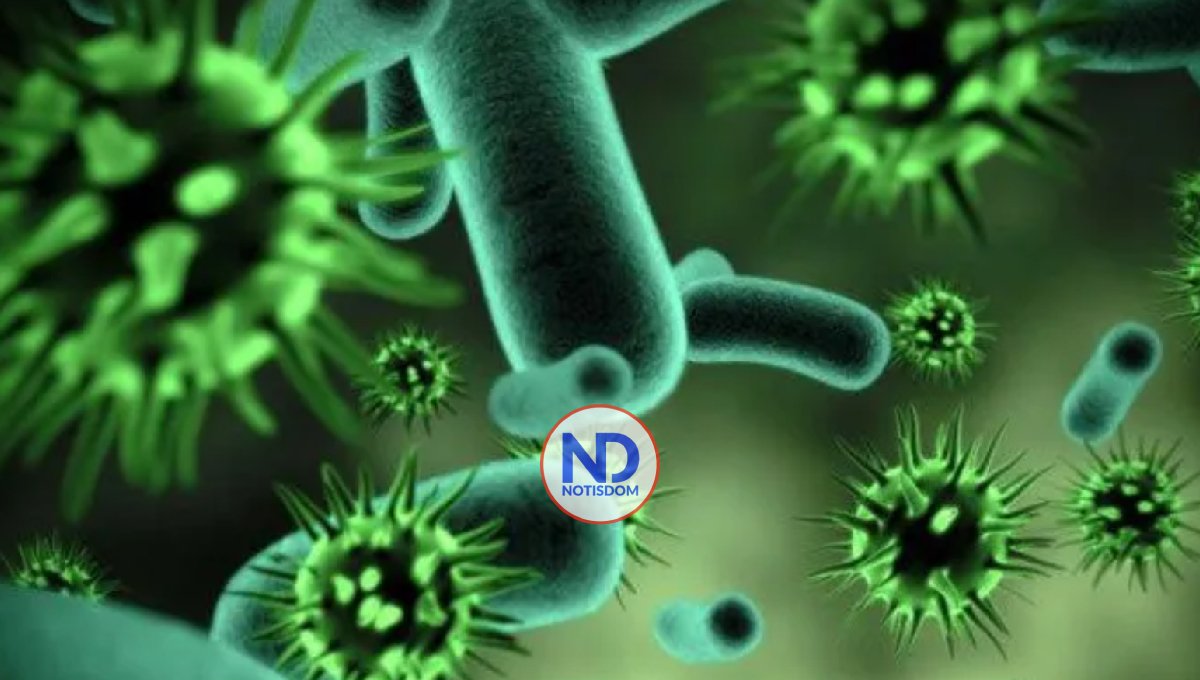 En 2023 OMS actualizará lista de patógenos que podrían causar pandemias