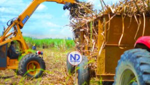 Ministro Agricultura espera EU rectifique veto a Central Romana