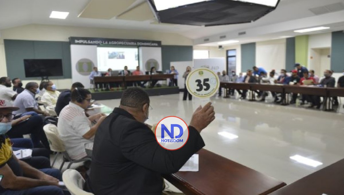 En 5 subastas este año Aduanas recauda más de RD$106 millones 2 En 5 subastas este año Aduanas recauda más de RD$106 millones