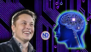 Elon Musk anuncia que su chip cerebral comenzará las pruebas en humanos en 6 meses