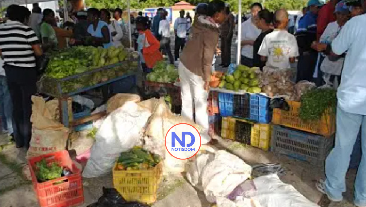 Frente Agropecuario del PRM realiza feria navideña en Santo Domingo Este 2 Frente Agropecuario del PRM realiza feria navideña en Santo Domingo Este