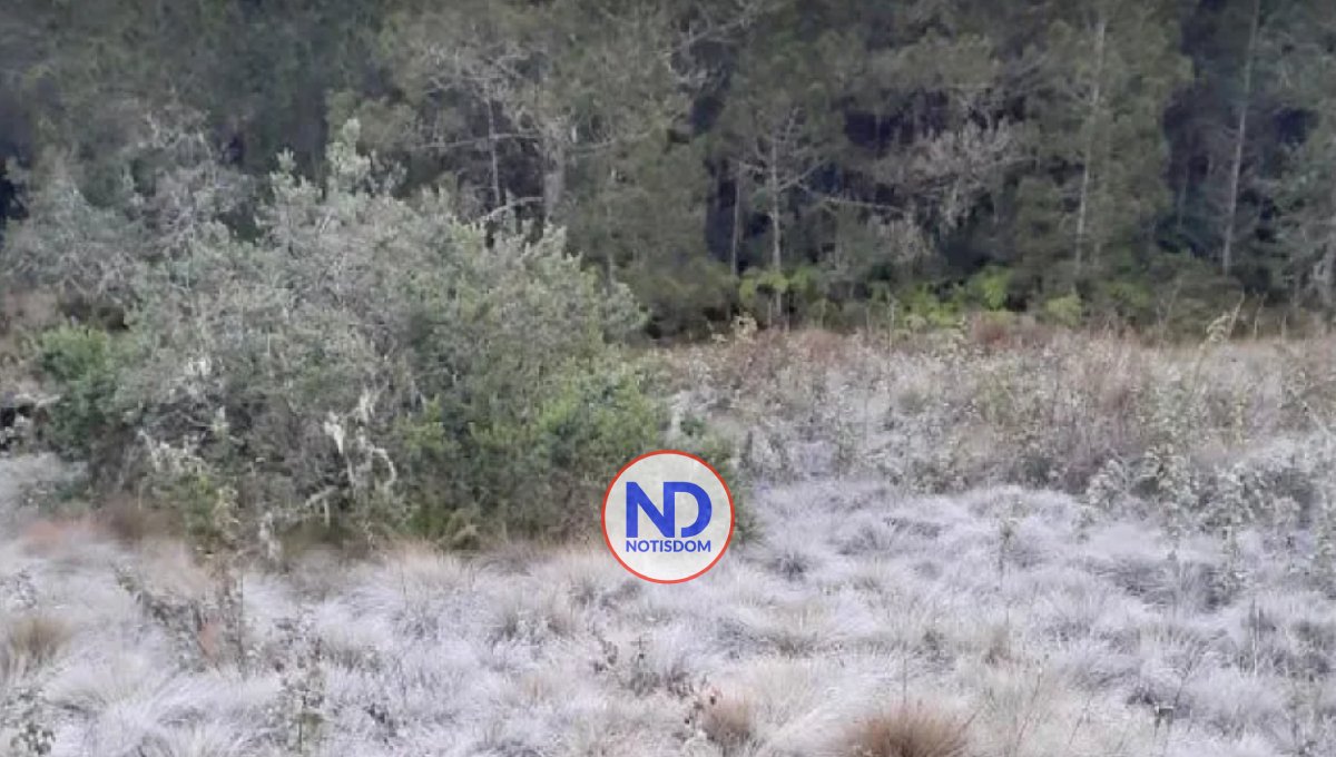 Bajas temperaturas congelan la zona de Valle Nuevo, Constanza