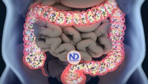 Beneficia al microbioma intestinal comer maní, hierbas y especias