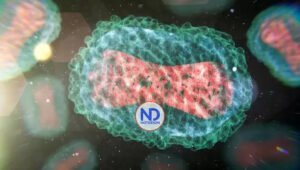 Por qué la OMS le cambió el nombre a la viruela del mono